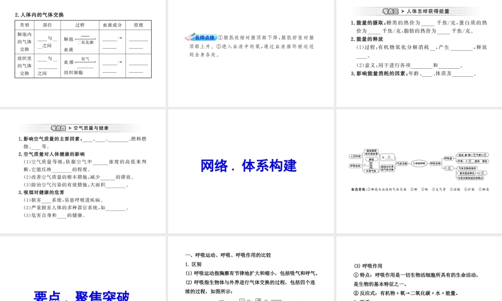 2012年中考生物学第二轮专题复习资料 第三单元生物圈中的人 第二章人的生活需要空气课件 济南版