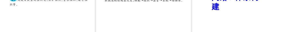 2012年中考生物学第二轮专题复习资料 第一单元认识生物 第二章严整的生命结构课件 济南版