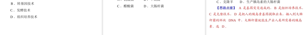 2013年中考生物复习 第八章 生物技术课件 北师大版