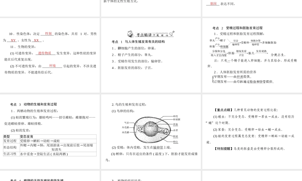 2013年中考生物复习 第六章 生物的生殖、发育与遗传课件 北师大版