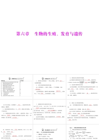2013年中考生物复习 第六章 生物的生殖、发育与遗传课件 北师大版