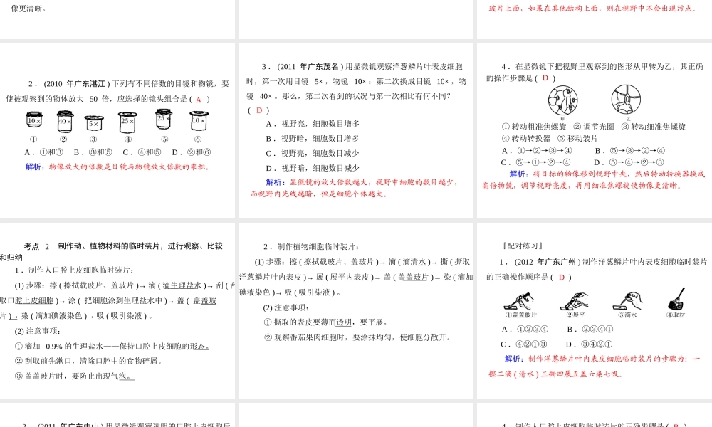 2013年中考生物复习 第十章 实验课件 北师大版