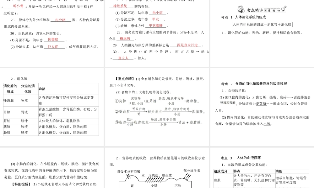 2013年中考生物复习 第四章 生物圈中的人课件 北师大版