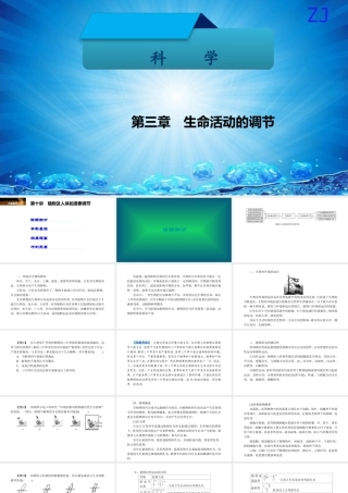 -八年级科学上册 第三章 生命活动的调节 第十讲 植物及人体的激素调节精讲课件 （新版）浙教版-（新版）浙教版初中八年级上册自然科学课件