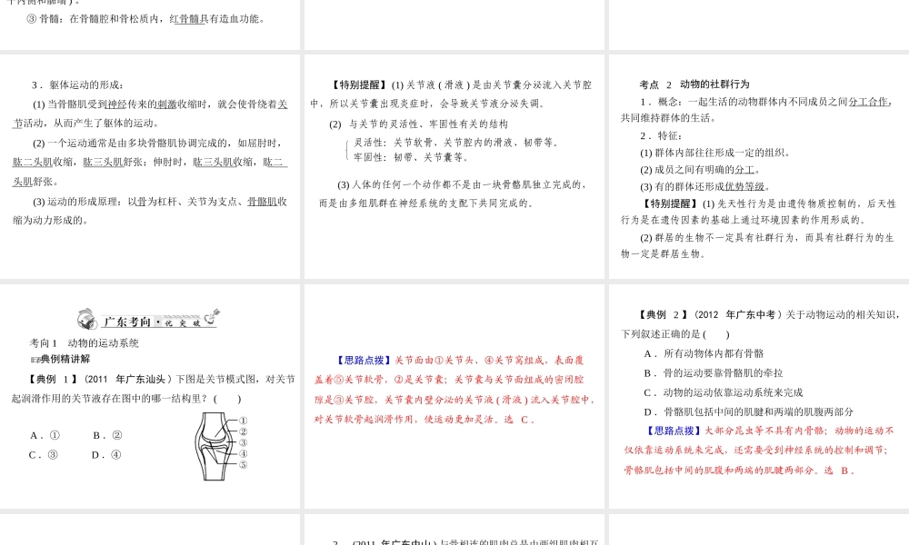 2013年中考生物复习 第五章 动物的运动和行为课件 北师大版