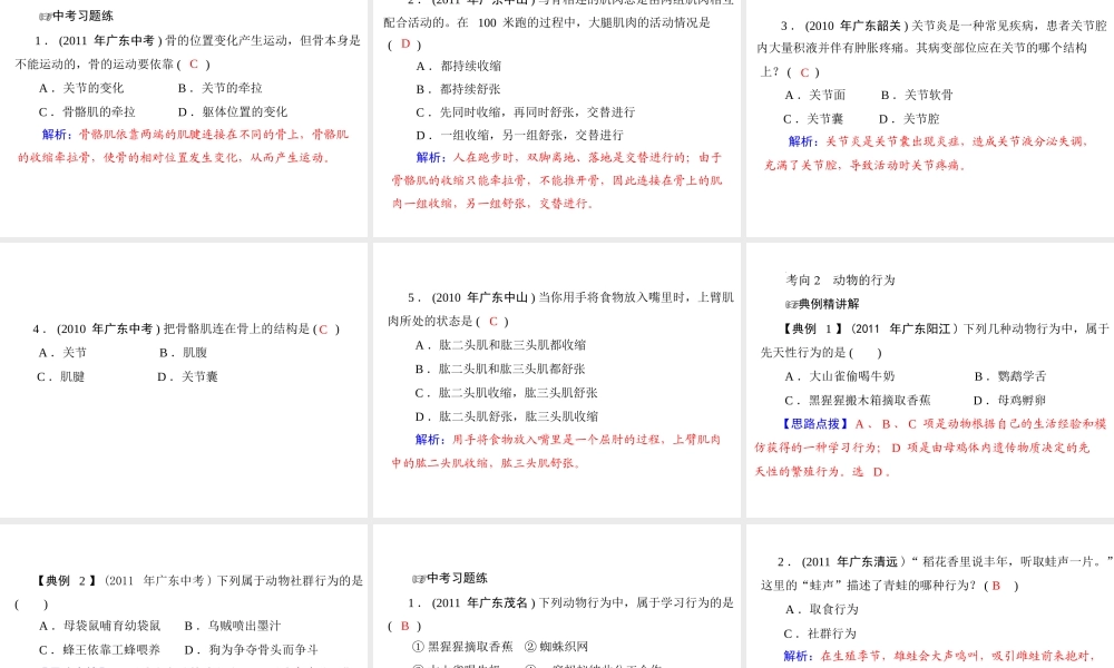 2013年中考生物复习 第五章 动物的运动和行为课件 北师大版
