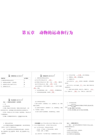 2013年中考生物复习 第五章 动物的运动和行为课件 北师大版