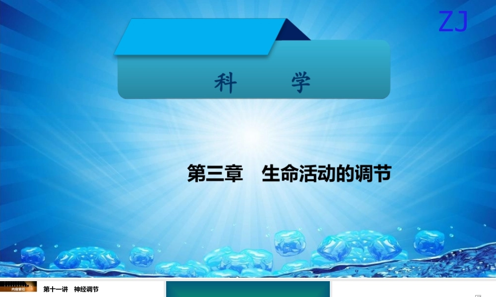 -八年级科学上册 第三章 生命活动的调节 第十一讲 神经调节精讲课件 （新版）浙教版-（新版）浙教版初中八年级上册自然科学课件