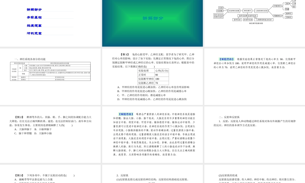 -八年级科学上册 第三章 生命活动的调节 第十一讲 神经调节精讲课件 （新版）浙教版-（新版）浙教版初中八年级上册自然科学课件