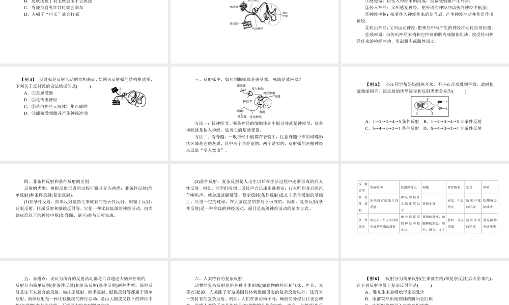 -八年级科学上册 第三章 生命活动的调节 第十一讲 神经调节精讲课件 （新版）浙教版-（新版）浙教版初中八年级上册自然科学课件