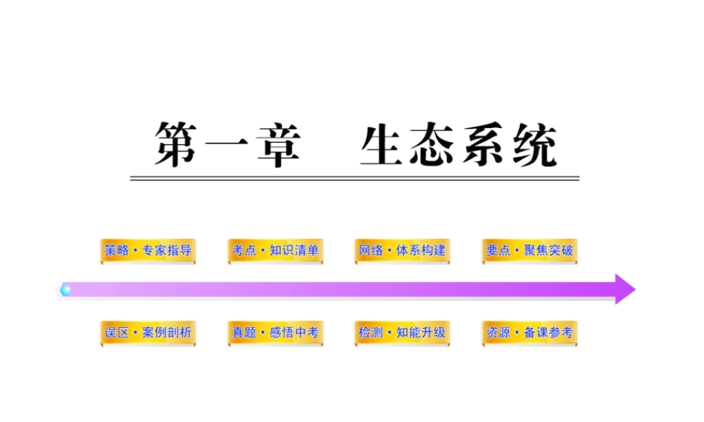 2012年中考生物学第一轮复习资料 第六单元生物与环境第一章生态系统课件 济南版