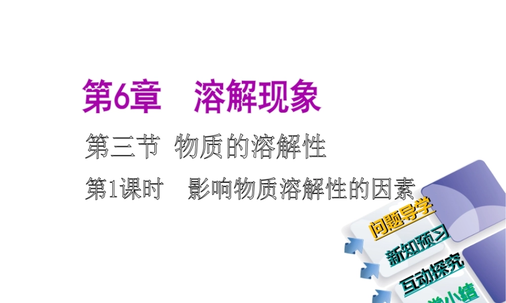 2014-2015九年级化学下册 6.3（第1课时）影响物质溶解性的因素课件 （新版）沪教版