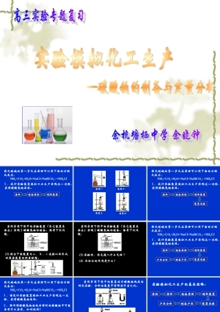 2009年浙江省杭州市高三化学教研活动资料：《碳酸钠的制备与定量分析》（余晓钟）