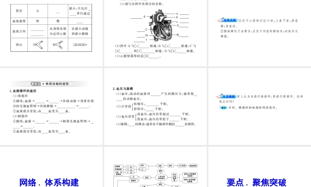 2012年中考生物学第一轮复习资料 第三单元第三章人体内的物质运输课件 济南版