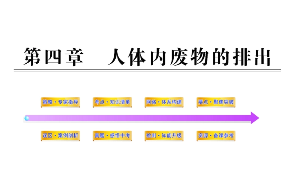 2012年中考生物学第一轮复习资料 第三单元第四章人体内废物的排出课件 济南版