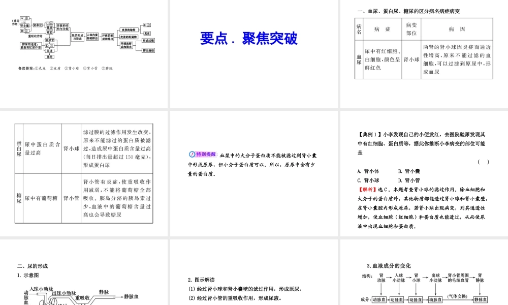 2012年中考生物学第一轮复习资料 第三单元第四章人体内废物的排出课件 济南版