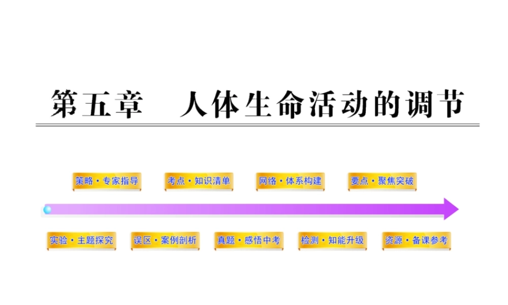2012年中考生物学第一轮复习资料 第三单元第五章人体生命活动的调节课件 济南版