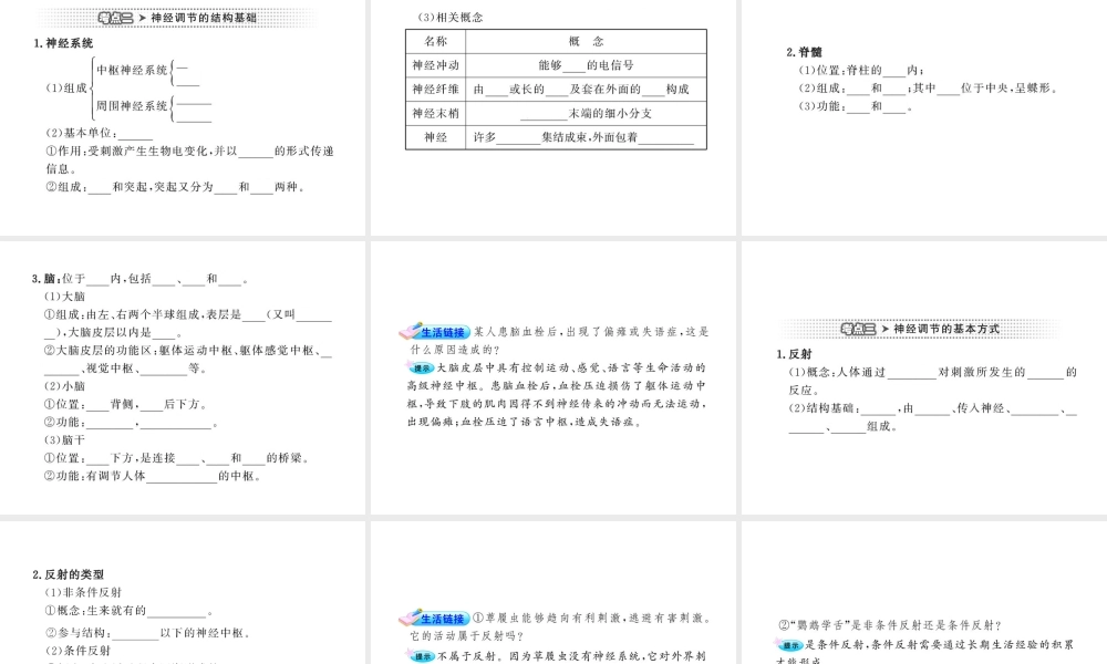 2012年中考生物学第一轮复习资料 第三单元第五章人体生命活动的调节课件 济南版