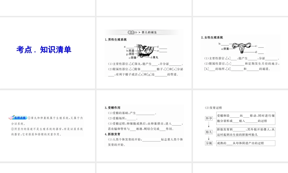 2012年中考生物学第一轮复习资料 第四单元第三章人的生殖发育课件 济南版