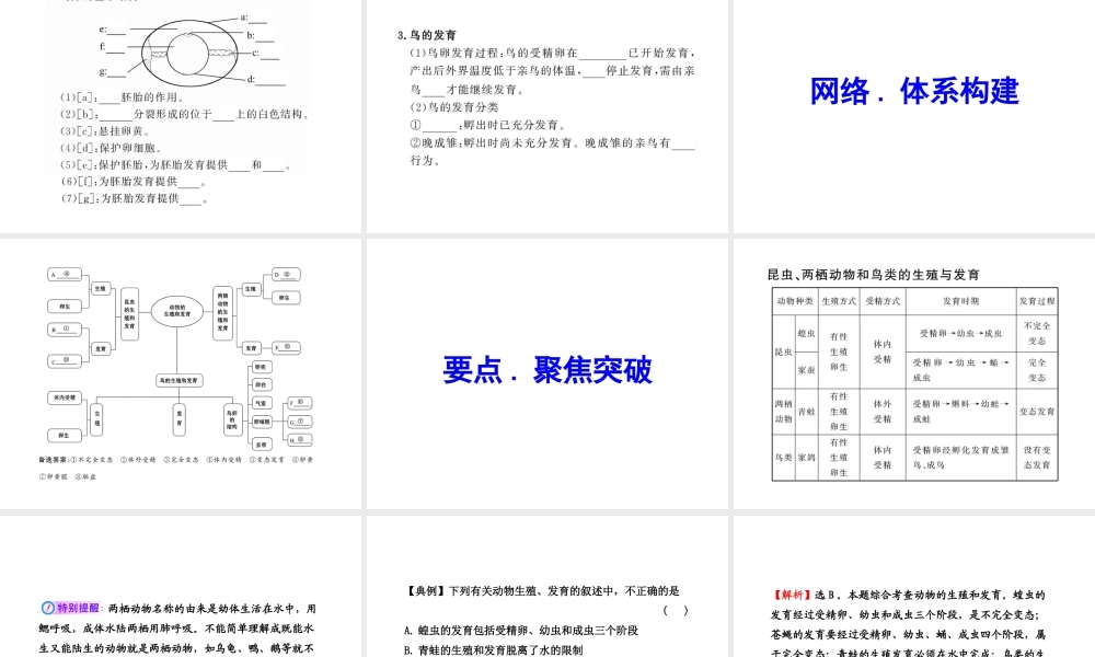 2012年中考生物学第一轮复习资料 第四单元物种的延续第二章动物的生殖发育课件 济南版