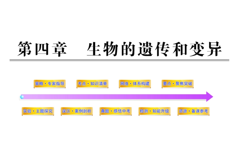 2012年中考生物学第一轮复习资料 第四单元物种的延续第四章生物的遗传和变异课件 济南版