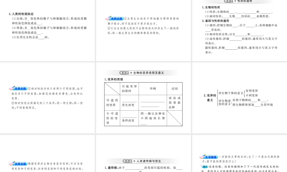 2012年中考生物学第一轮复习资料 第四单元物种的延续第四章生物的遗传和变异课件 济南版