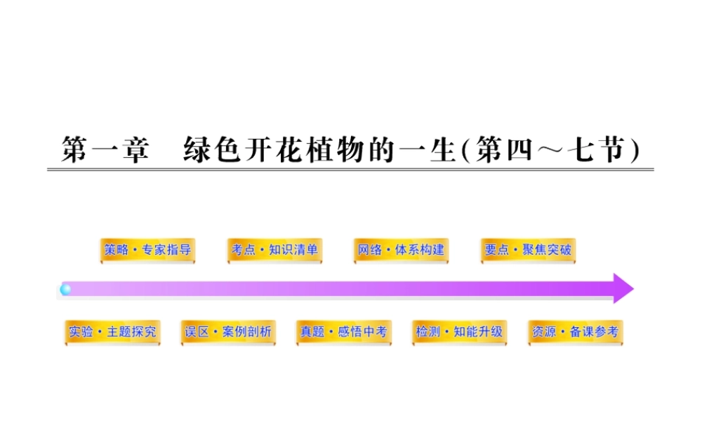 2012年中考生物学第一轮复习资料 第四单元物种的延续第一章绿色开花植物的一生（第四、七节）课件 济南版
