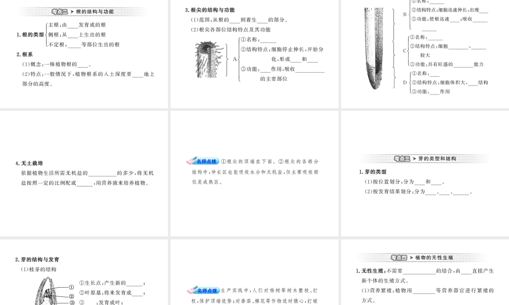 2012年中考生物学第一轮复习资料 第四单元物种的延续第一章绿色开花植物的一生（第四、七节）课件 济南版