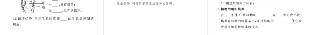 2012年中考生物学第一轮复习资料 第四单元物种的延续第一章绿色开花植物的一生（第四、七节）课件 济南版
