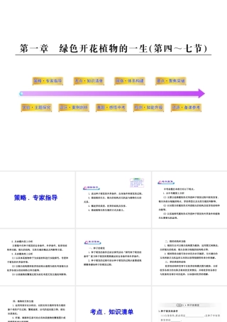 2012年中考生物学第一轮复习资料 第四单元物种的延续第一章绿色开花植物的一生（第四、七节）课件 济南版