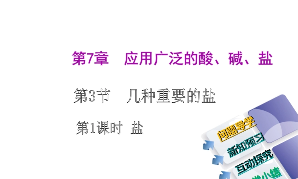 2014-2015九年级化学下册 7.3（第1课时）盐课件 （新版）沪教版