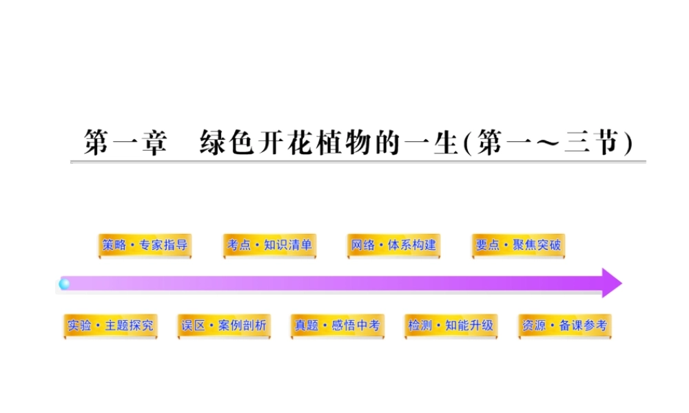 2012年中考生物学第一轮复习资料 第四单元物种的延续第一章绿色开花植物的一生（第一、三节）课件 济南版