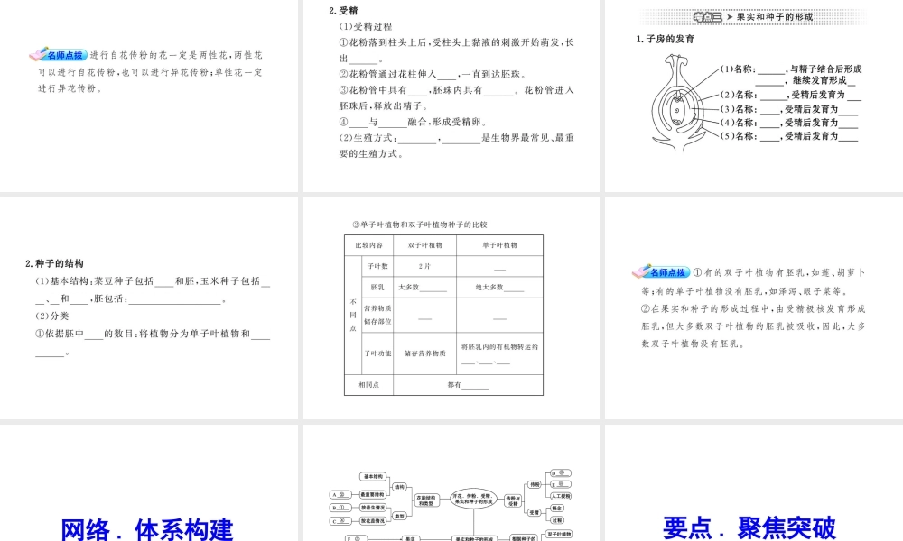 2012年中考生物学第一轮复习资料 第四单元物种的延续第一章绿色开花植物的一生（第一、三节）课件 济南版