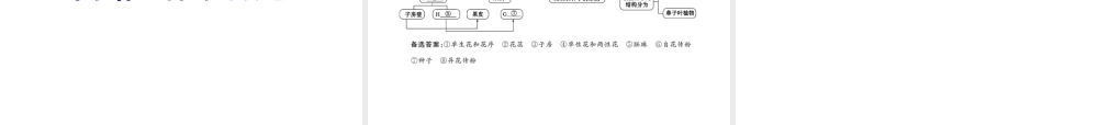 2012年中考生物学第一轮复习资料 第四单元物种的延续第一章绿色开花植物的一生（第一、三节）课件 济南版