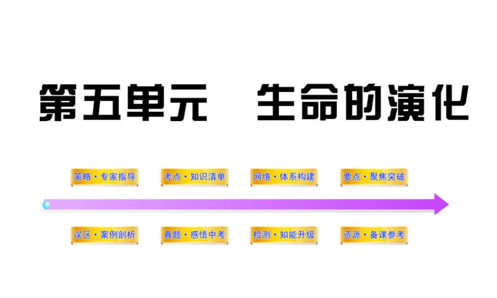2012年中考生物学第一轮复习资料 第五单元生命的演化课件 济南版