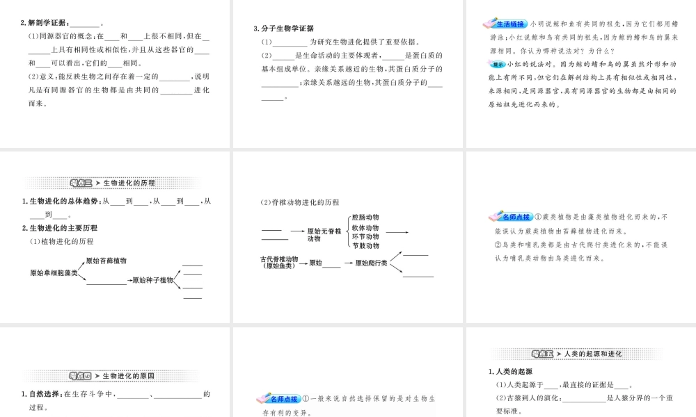 2012年中考生物学第一轮复习资料 第五单元生命的演化课件 济南版