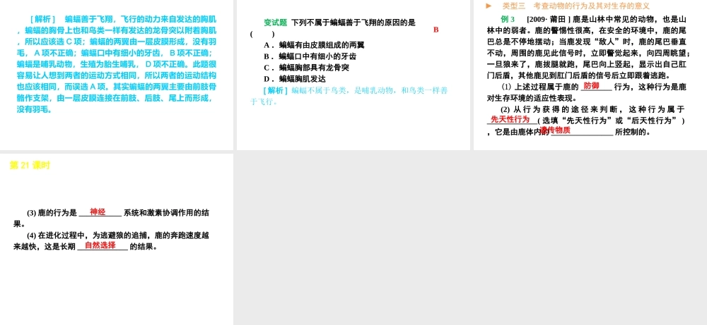 2012年中考生物一轮复习 八年级上册 第六单元 动物的运动和行为精品课件 苏教版