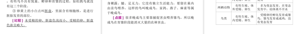 2012年中考生物一轮复习 八年级上册 第五单元 生物的生殖、发育与遗传精品课件 苏教版
