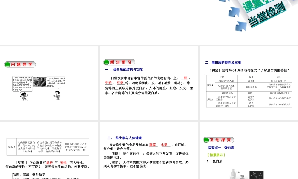 2014-2015九年级化学下册 8.3 蛋白质+维生素课件 （新版）沪教版