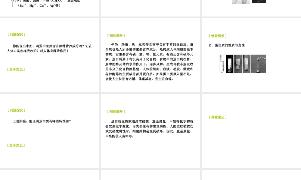 2014-2015九年级化学下册 8.3 蛋白质+维生素课件 （新版）沪教版