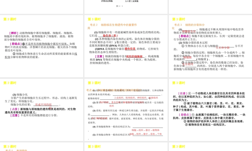 2012年中考生物一轮复习 七年级上册 第二单元 生物体的结构层次精品课件 苏教版