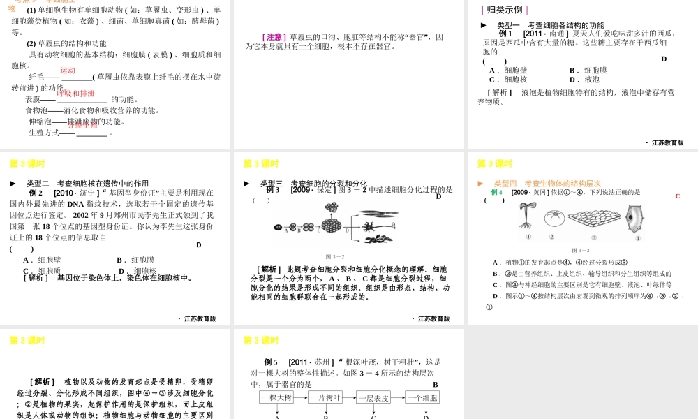 2012年中考生物一轮复习 七年级上册 第二单元 生物体的结构层次精品课件 苏教版