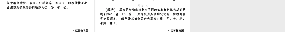 2012年中考生物一轮复习 七年级上册 第二单元 生物体的结构层次精品课件 苏教版
