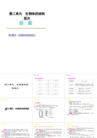 2012年中考生物一轮复习 七年级上册 第二单元 生物体的结构层次精品课件 苏教版