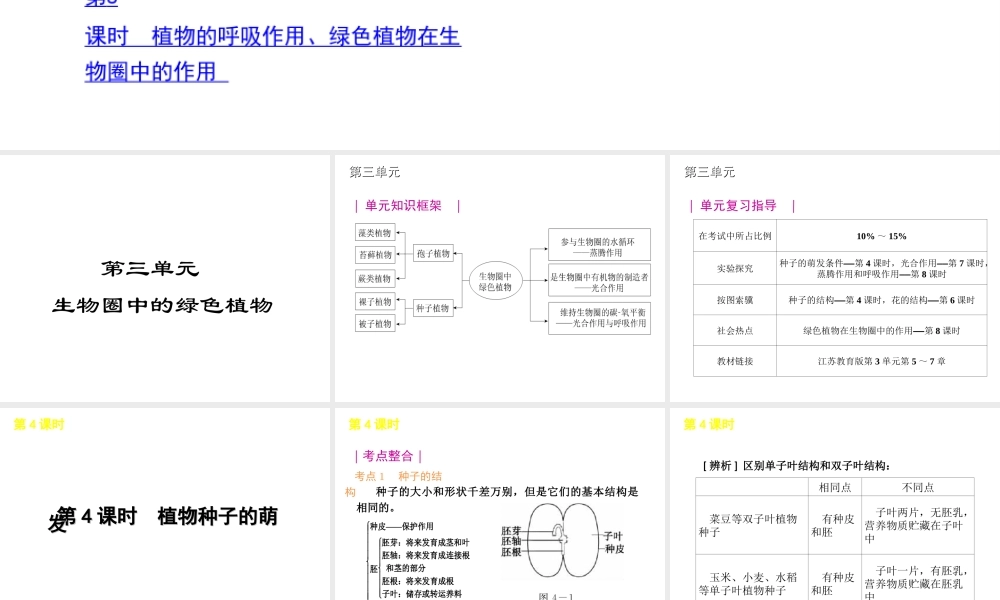 2012年中考生物一轮复习 七年级上册 第三单元 生物圈中的绿色植物精品课件 苏教版