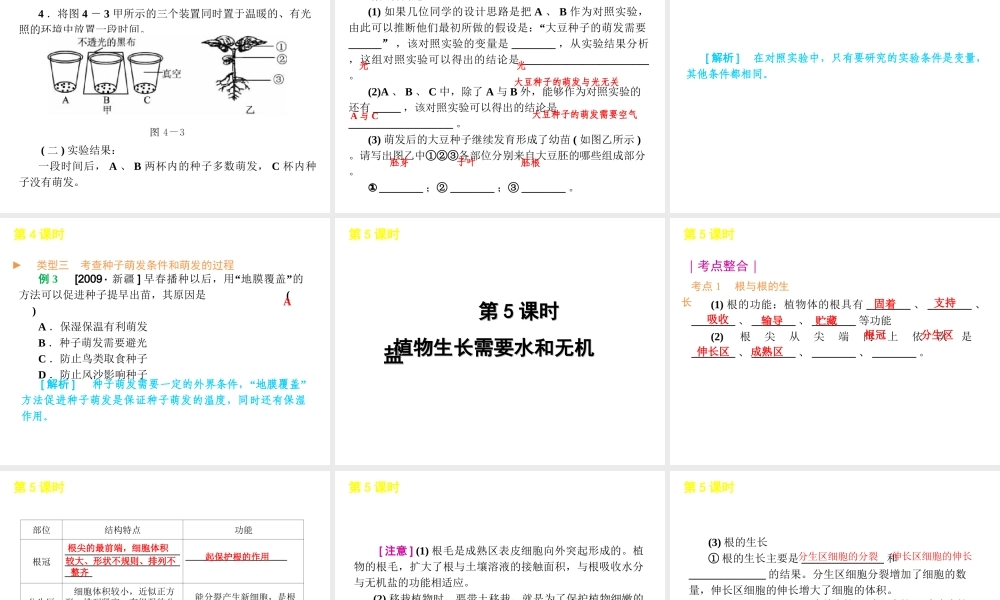 2012年中考生物一轮复习 七年级上册 第三单元 生物圈中的绿色植物精品课件 苏教版