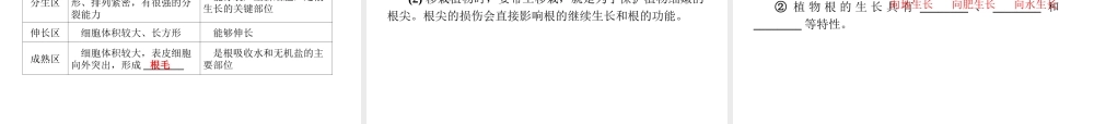 2012年中考生物一轮复习 七年级上册 第三单元 生物圈中的绿色植物精品课件 苏教版