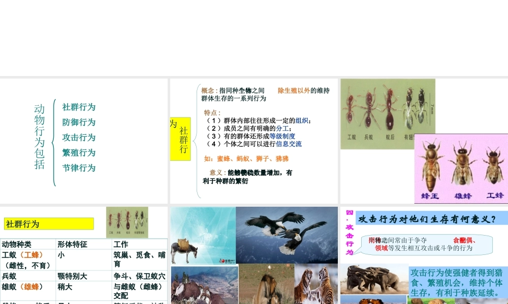 -八年级生物上册 4.2.2 动物行为的类型课件（1）（新版）冀教版-（新版）冀教版初中八年级上册生物课件