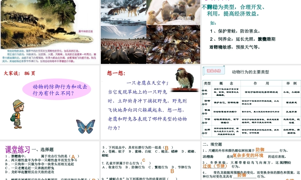 -八年级生物上册 4.2.2 动物行为的类型课件（1）（新版）冀教版-（新版）冀教版初中八年级上册生物课件