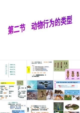 -八年级生物上册 4.2.2 动物行为的类型课件（1）（新版）冀教版-（新版）冀教版初中八年级上册生物课件